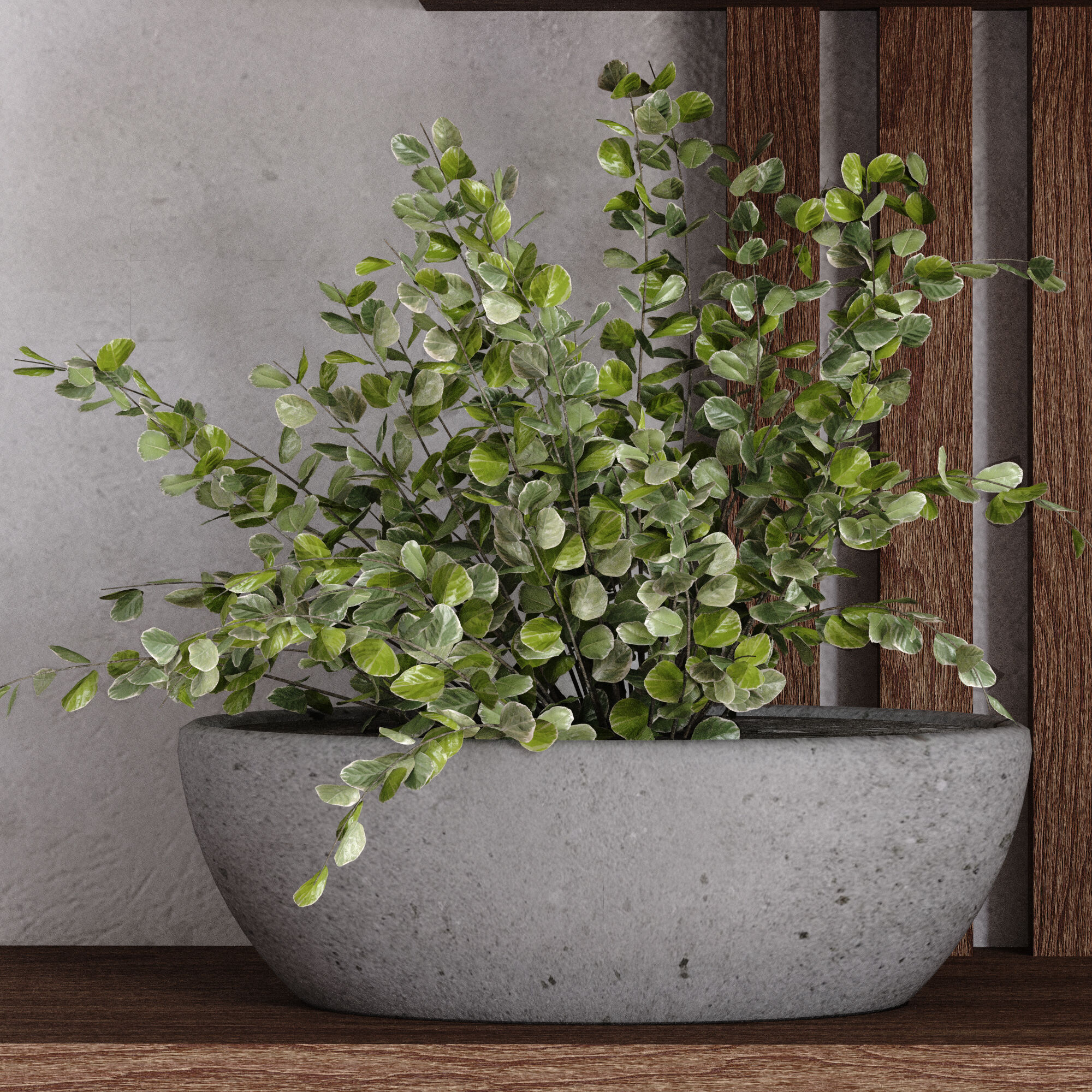 collection of plants in vase set 527 3D model_2
