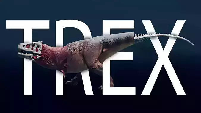 Tyrannosaurus Rex Walk  Body  Eyes Only No MusclesScene