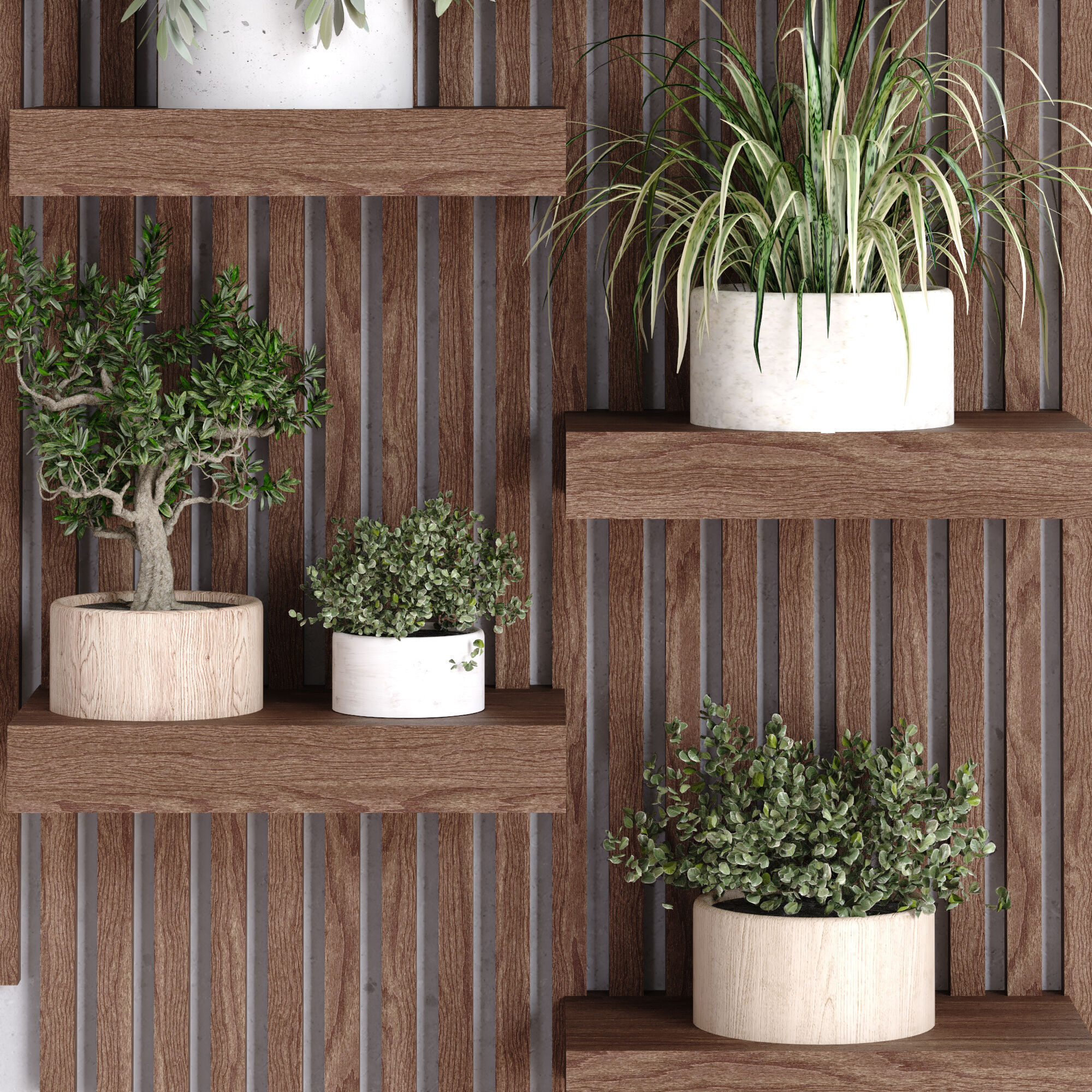 collection of plants in vase set 528 3D model_3