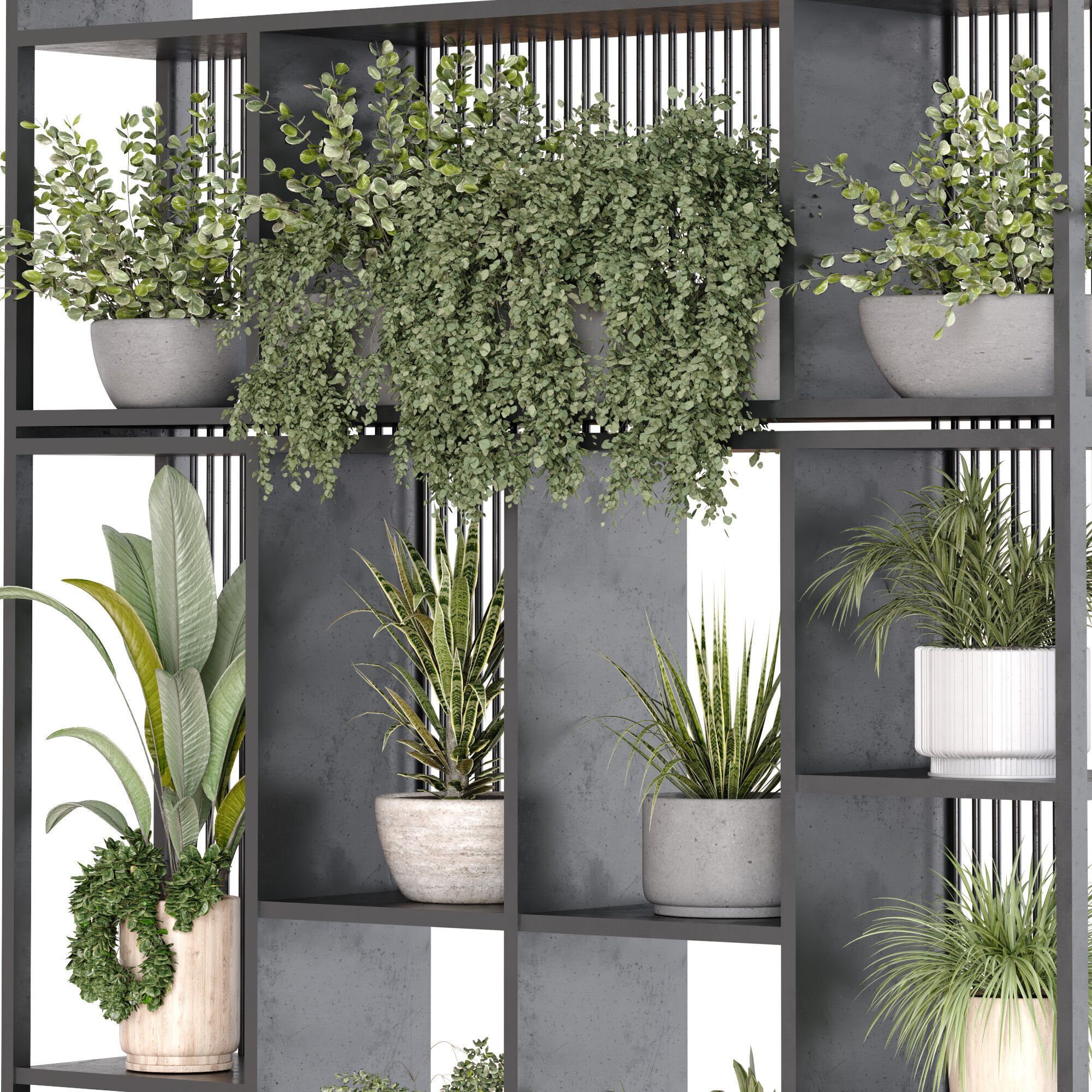 collection of plants in vase set 529 3D model_1