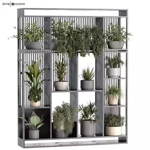 collection of plants in vase set 529 3D model