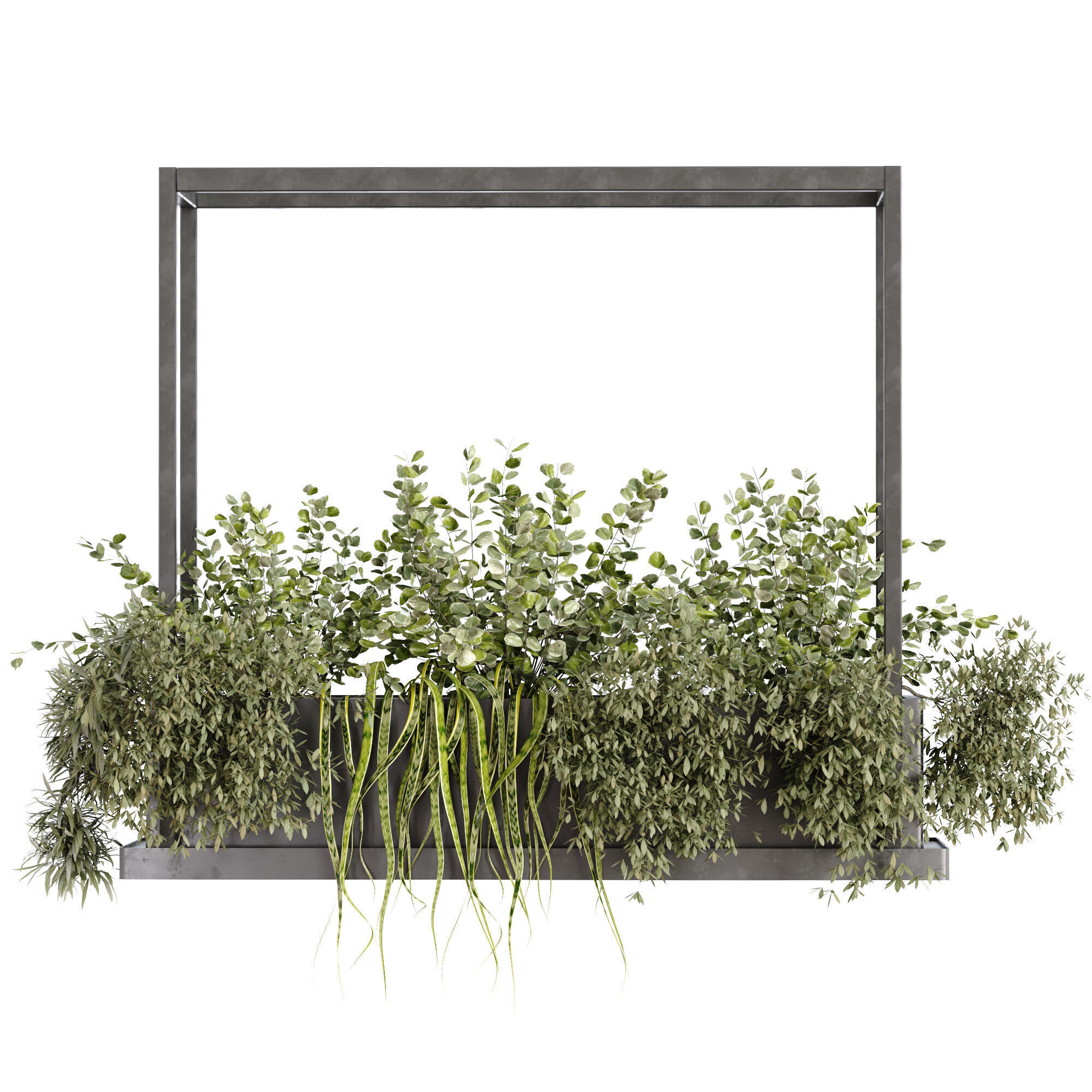 green plant ceilling box set 531 3D model_3