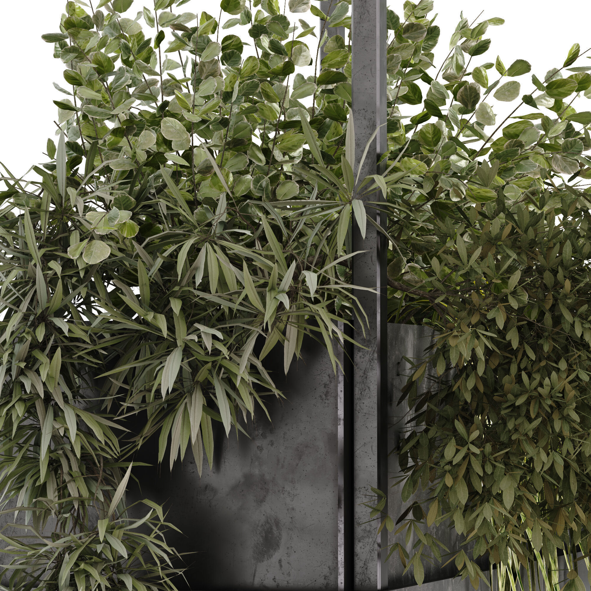 green plant ceilling box set 531 3D model_2