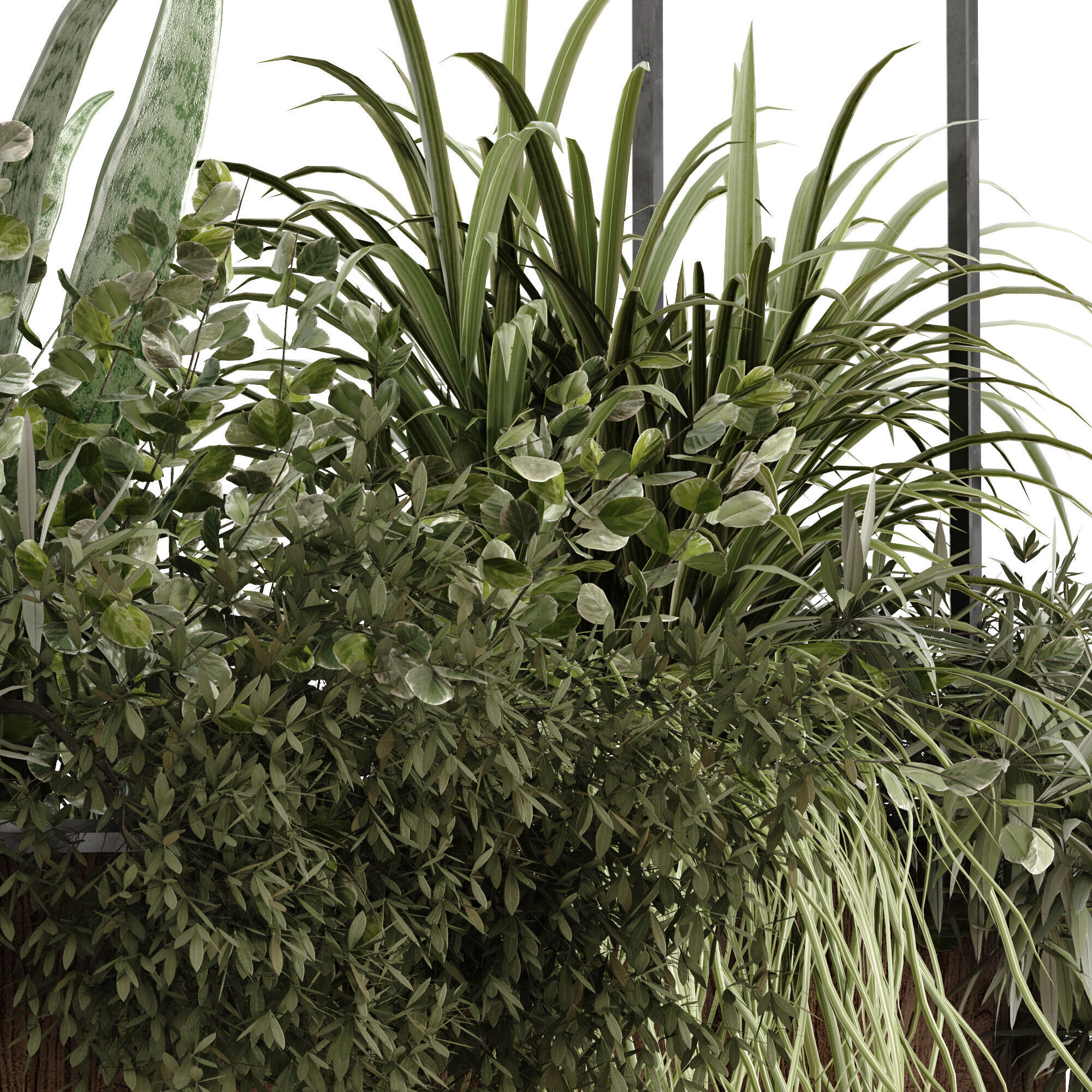 green plant ceilling box set 532 3D model_2