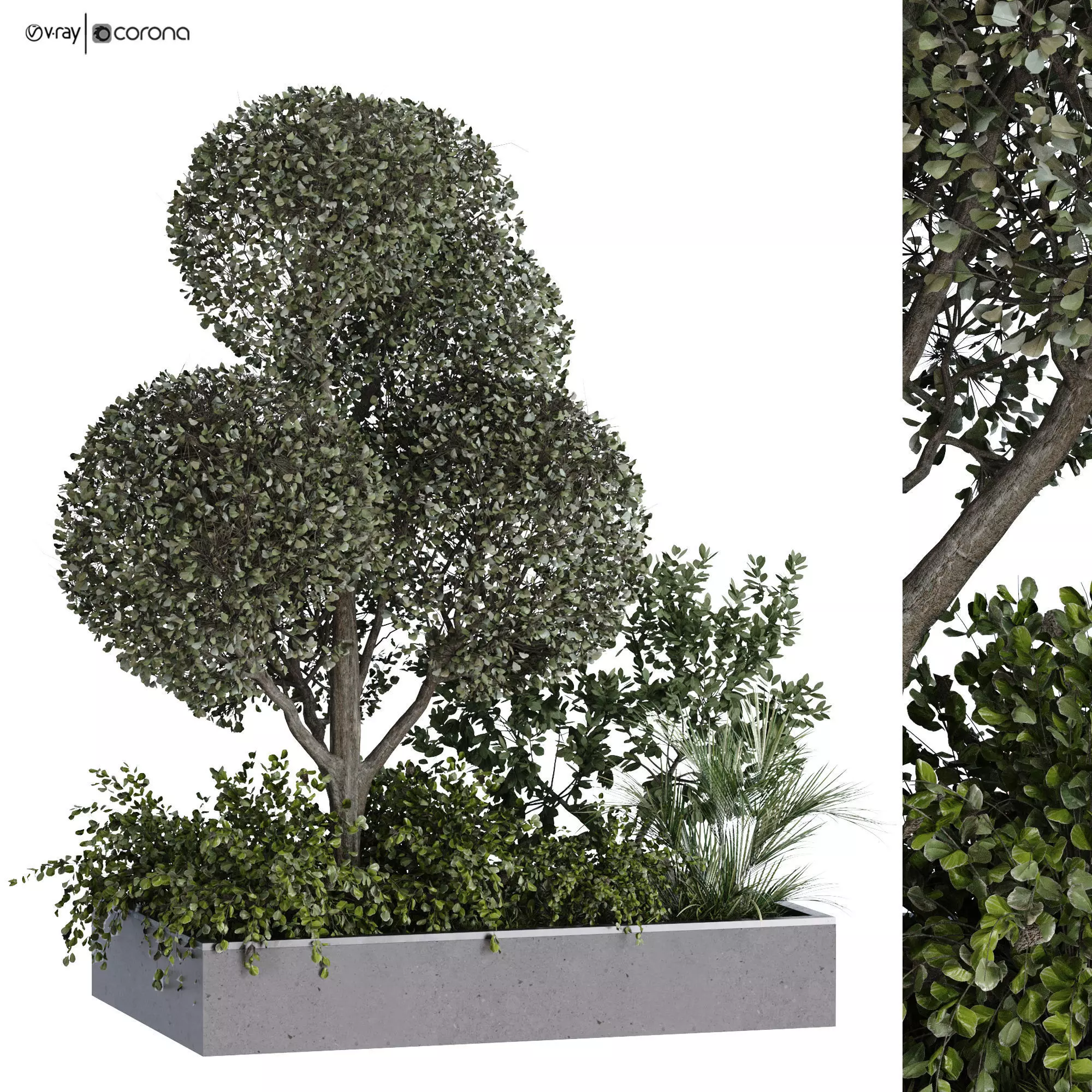 green plant in box exterior set 530 3D model_0