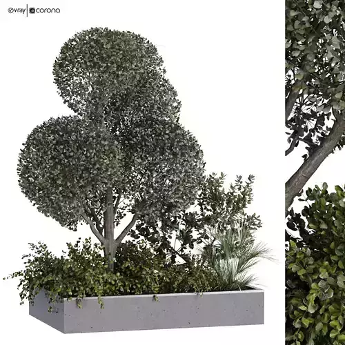green plant in box exterior set 530 3D model