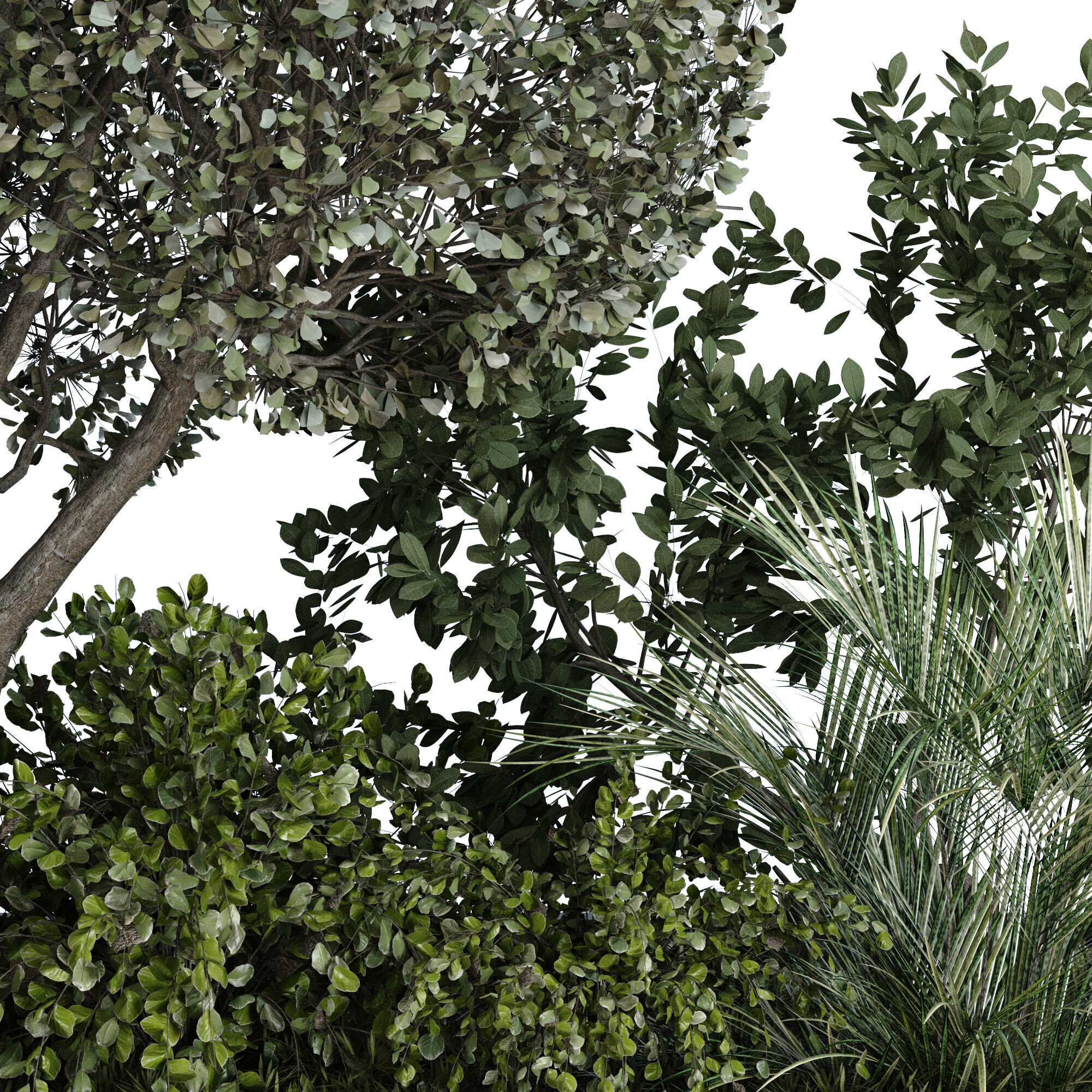 green plant in box exterior set 530 3D model_1