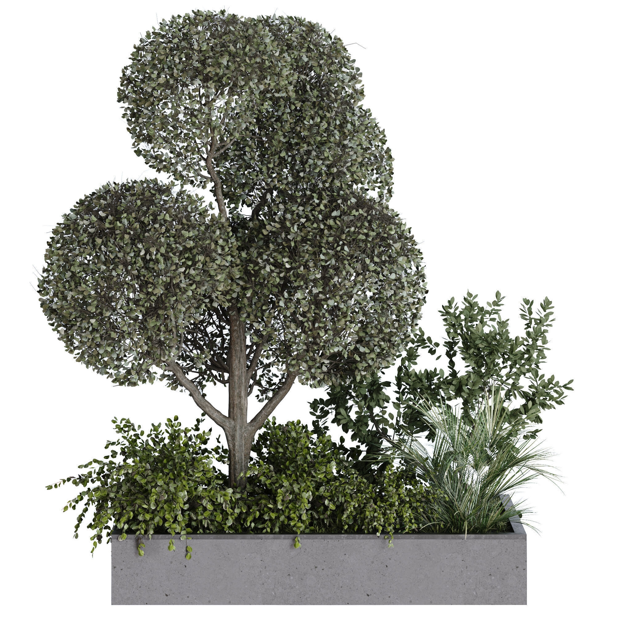 green plant in box exterior set 530 3D model_2