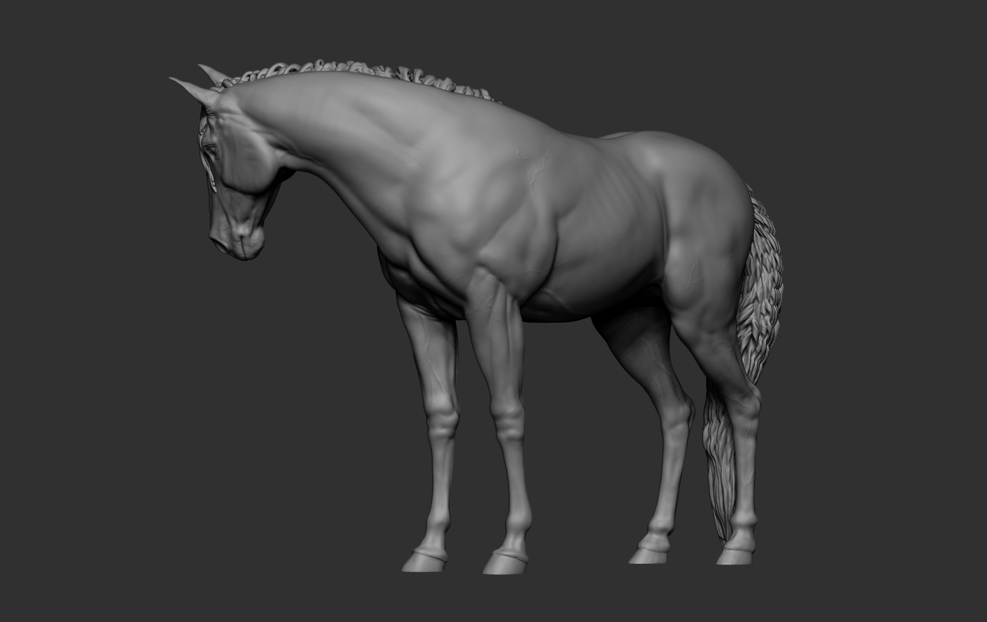 Mare Horse 3D print model_12