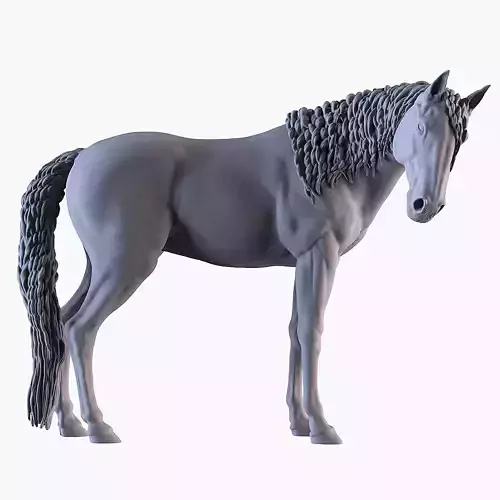 Mare Horse 3D print model