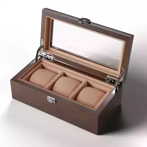 Luxury Watch Box