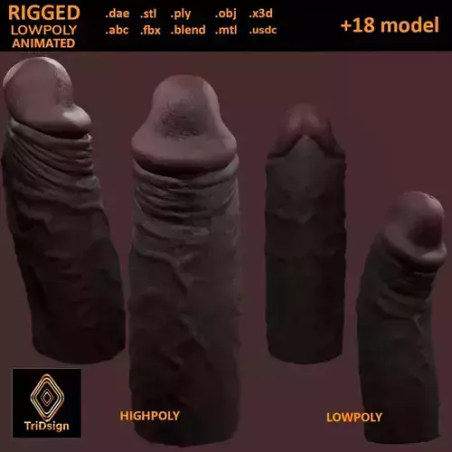 Black Penis Rigged Lowpoly and Highpoly Low-poly 3D model