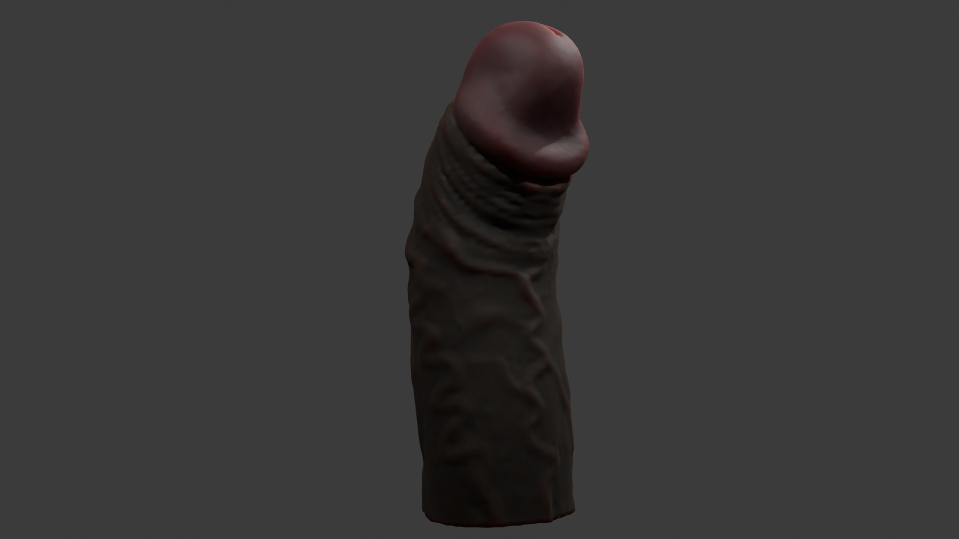 Black Penis Rigged Lowpoly and Highpoly Low-poly 3D model_5