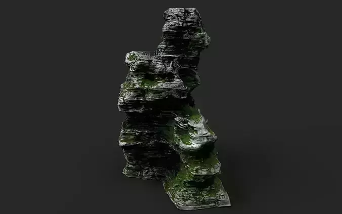 Mossy Cliff Rock 23-3