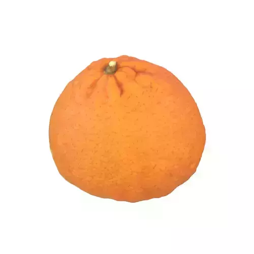 Mandarin Low-poly 3D model