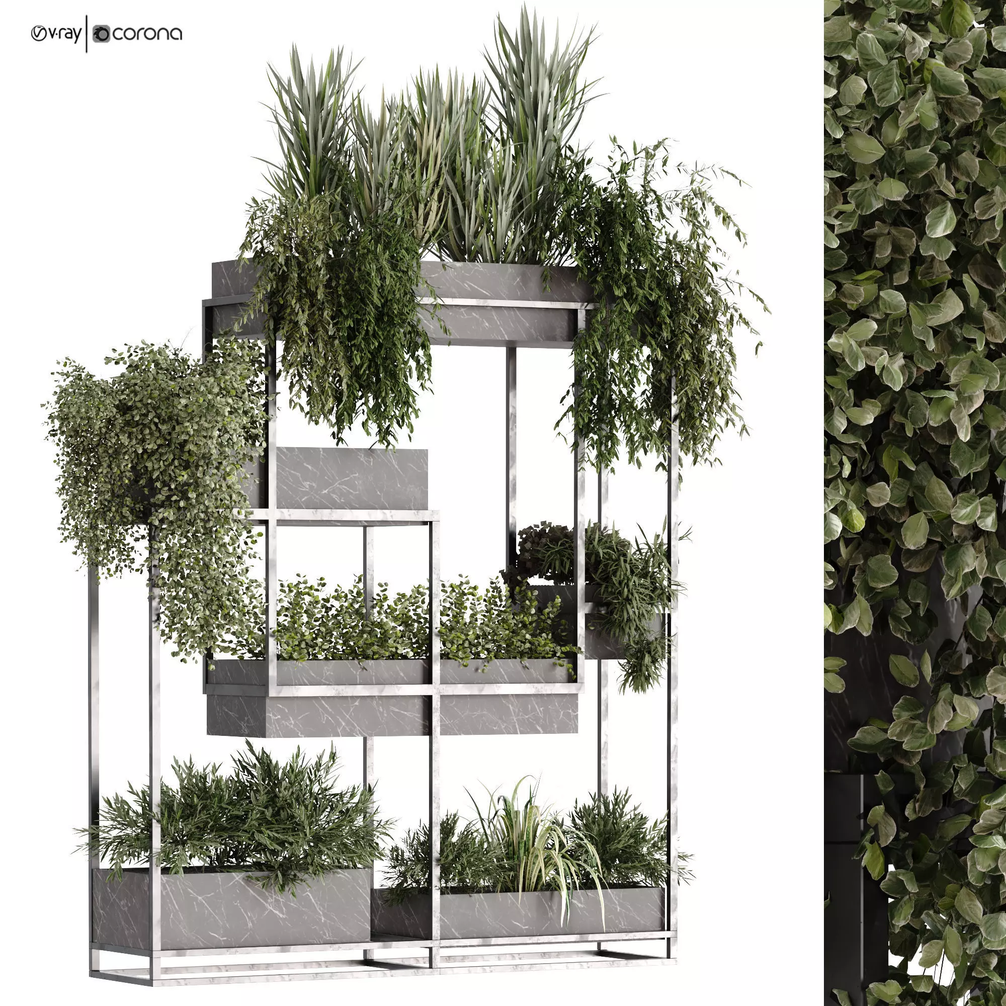 vertical green plant in box set 533 3D model_0