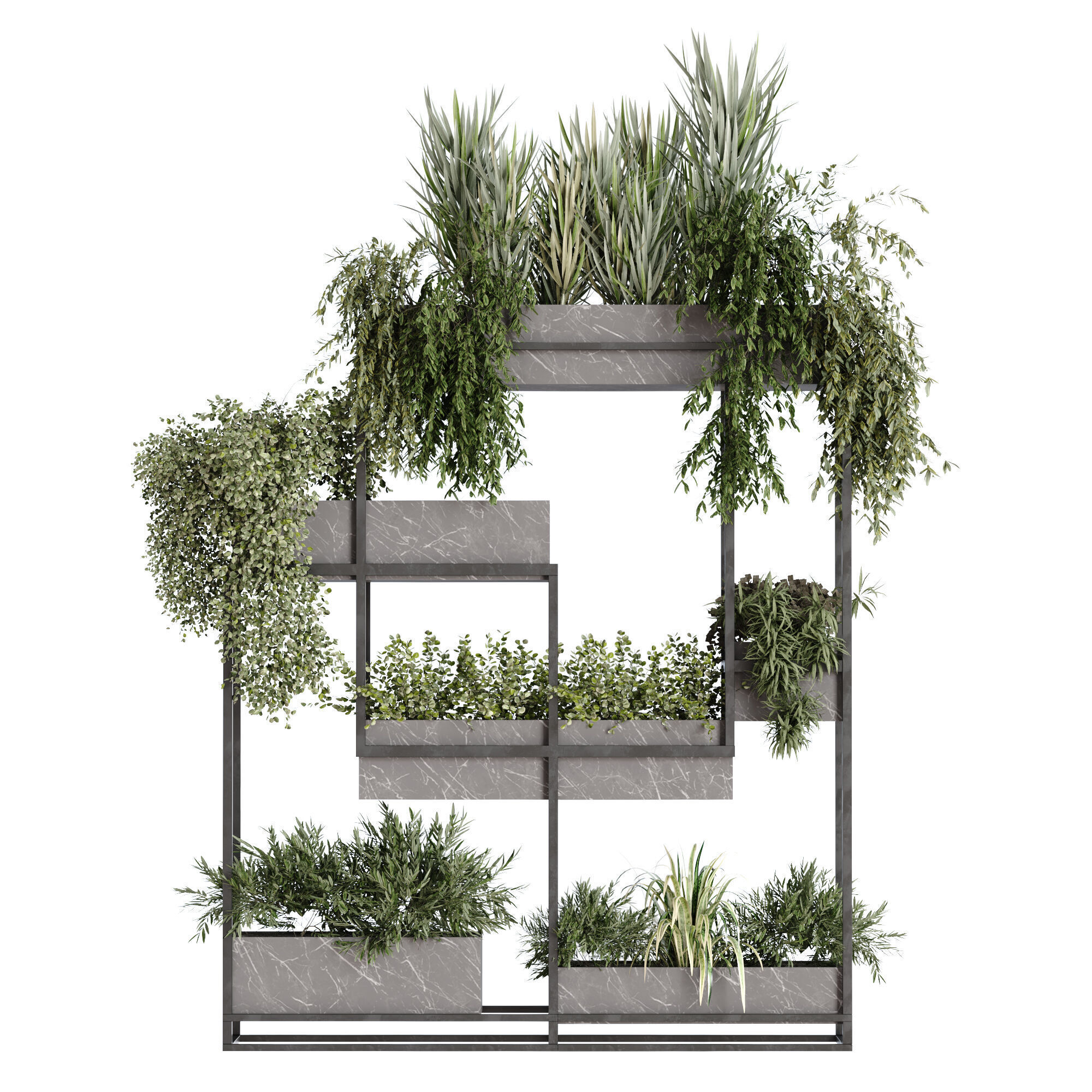 vertical green plant in box set 533 3D model_1