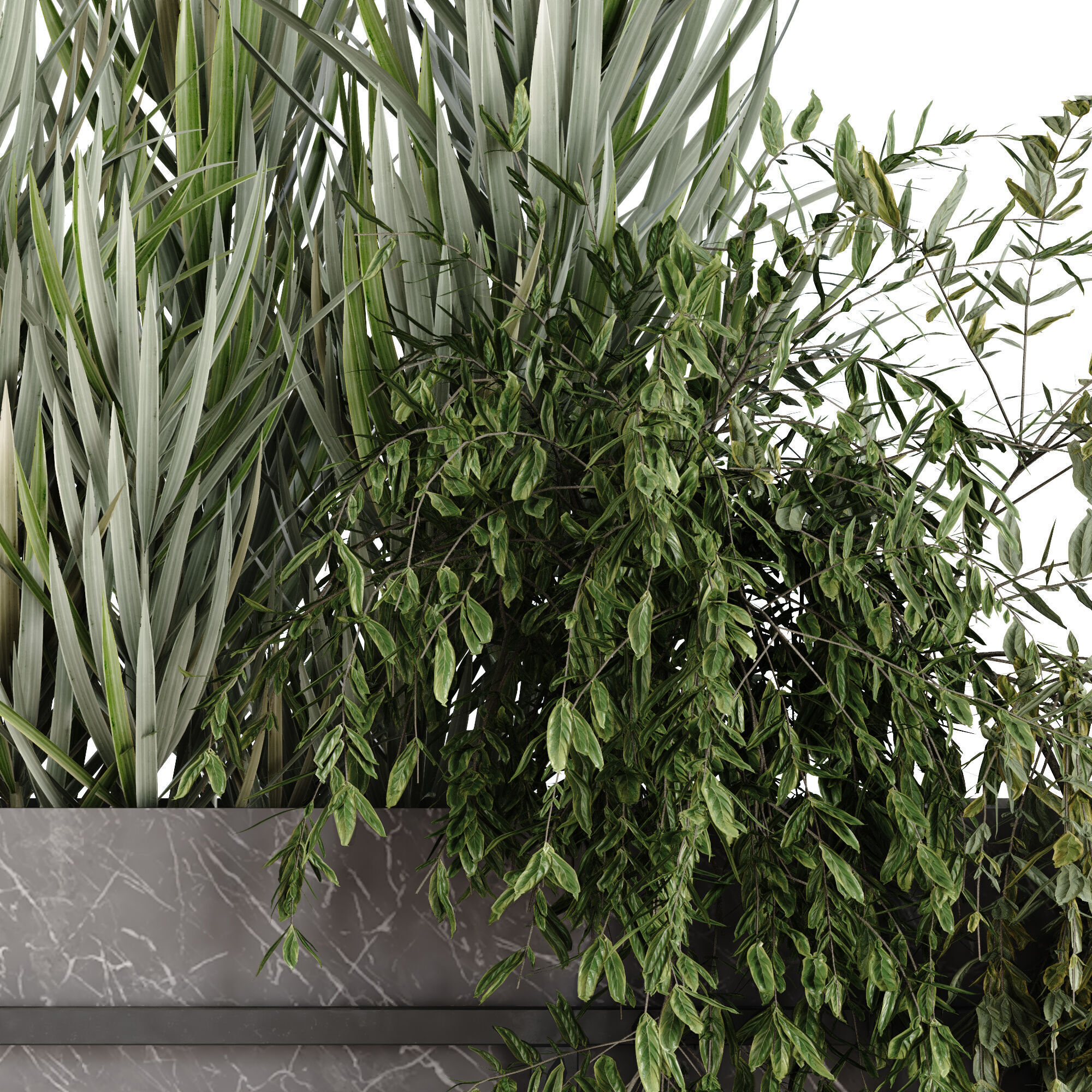 vertical green plant in box set 533 3D model_3