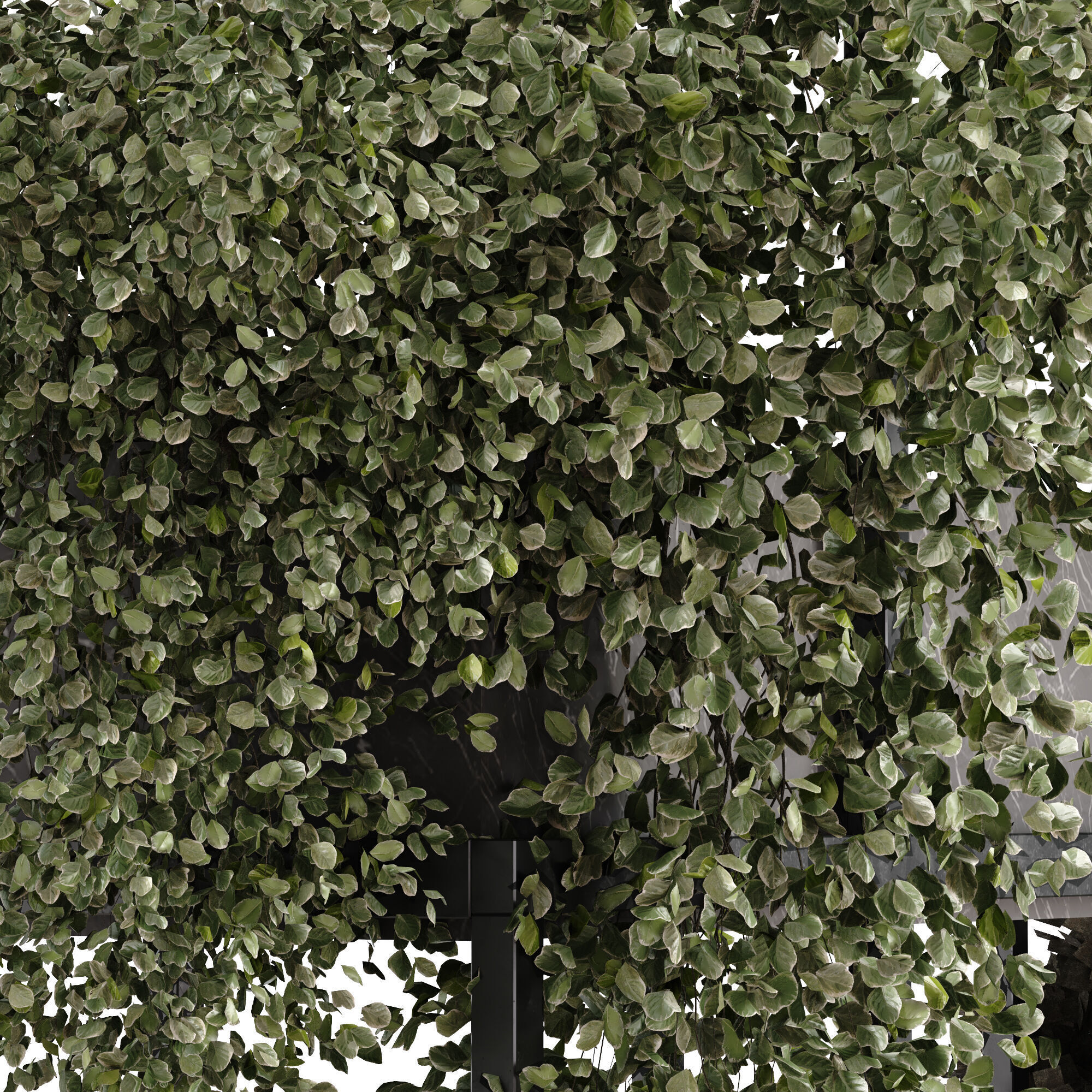 vertical green plant in box set 533 3D model_2