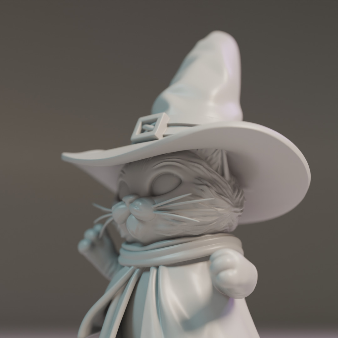 magic cat 3D print model_11
