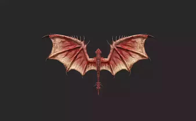 Wing 104 Low-poly 3D model