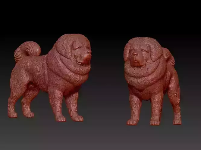 Tibetan Mastiff Dog - mastiff DOg model - 3D print 3D print model