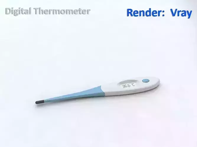 Digital Thermometer