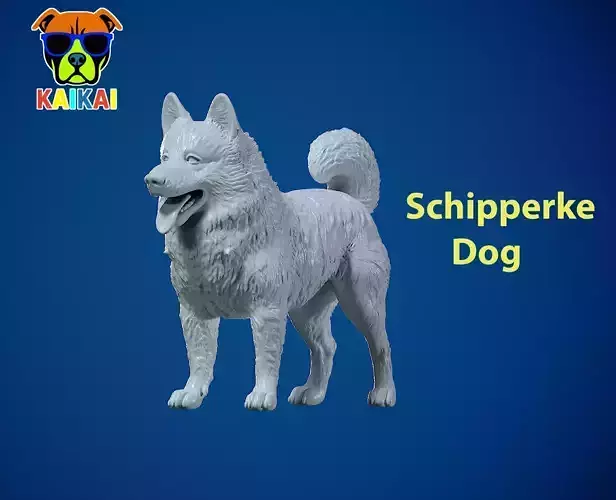 Schipperke Dog model- Little Captain Dog - 3D print