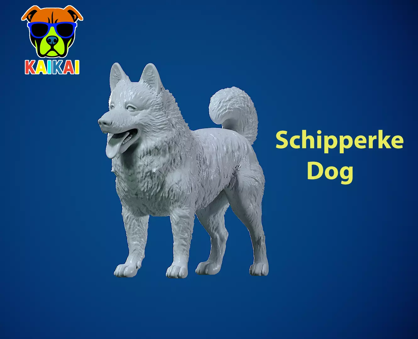 Schipperke Dog model- Little Captain Dog - 3D print 3D print model