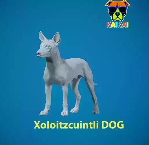 Xoloitzcuintle Hairless Dog model - decor - statue - 3D print