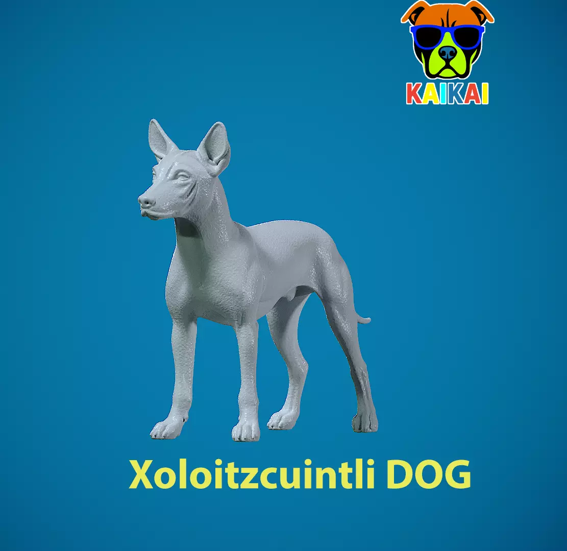 Xoloitzcuintle Hairless Dog model - decor - statue - 3D print 3D print model_0