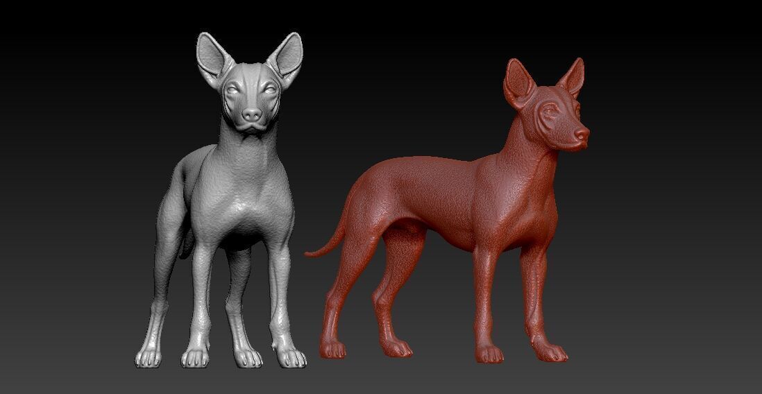 Xoloitzcuintle Hairless Dog model - decor - statue - 3D print 3D print model_2