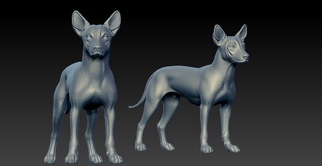 Xoloitzcuintle Hairless Dog model - decor - statue - 3D print 3D print model_1
