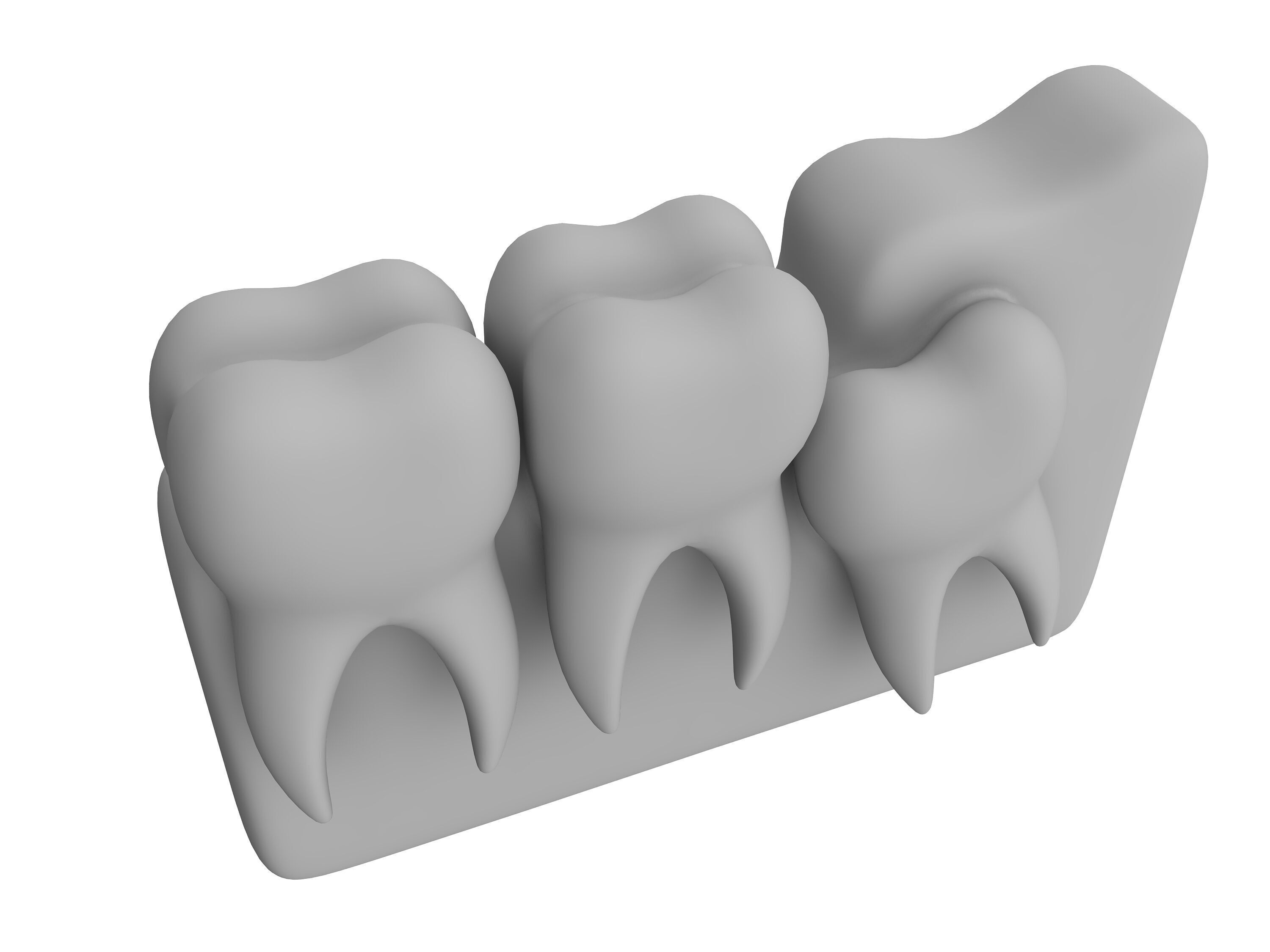 tooth Low-poly 3D model_2