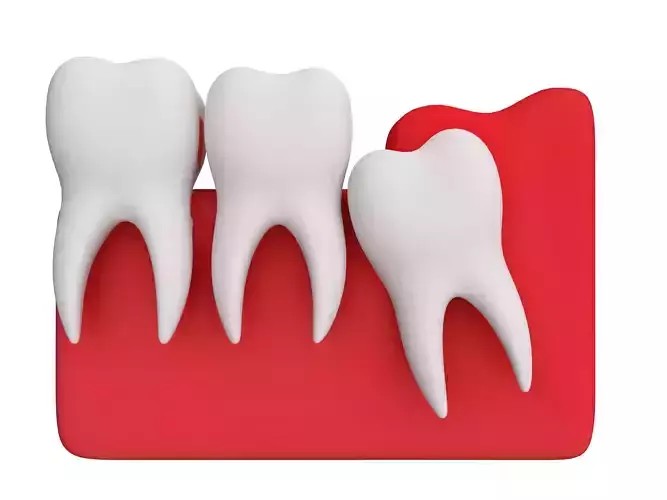 tooth Low-poly 3D model