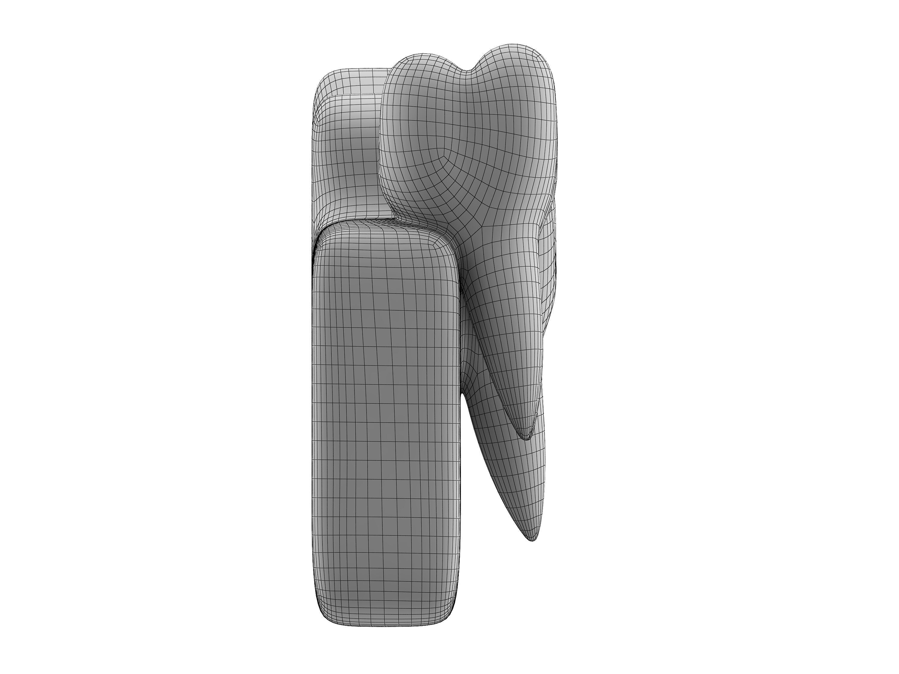 tooth Low-poly 3D model_5