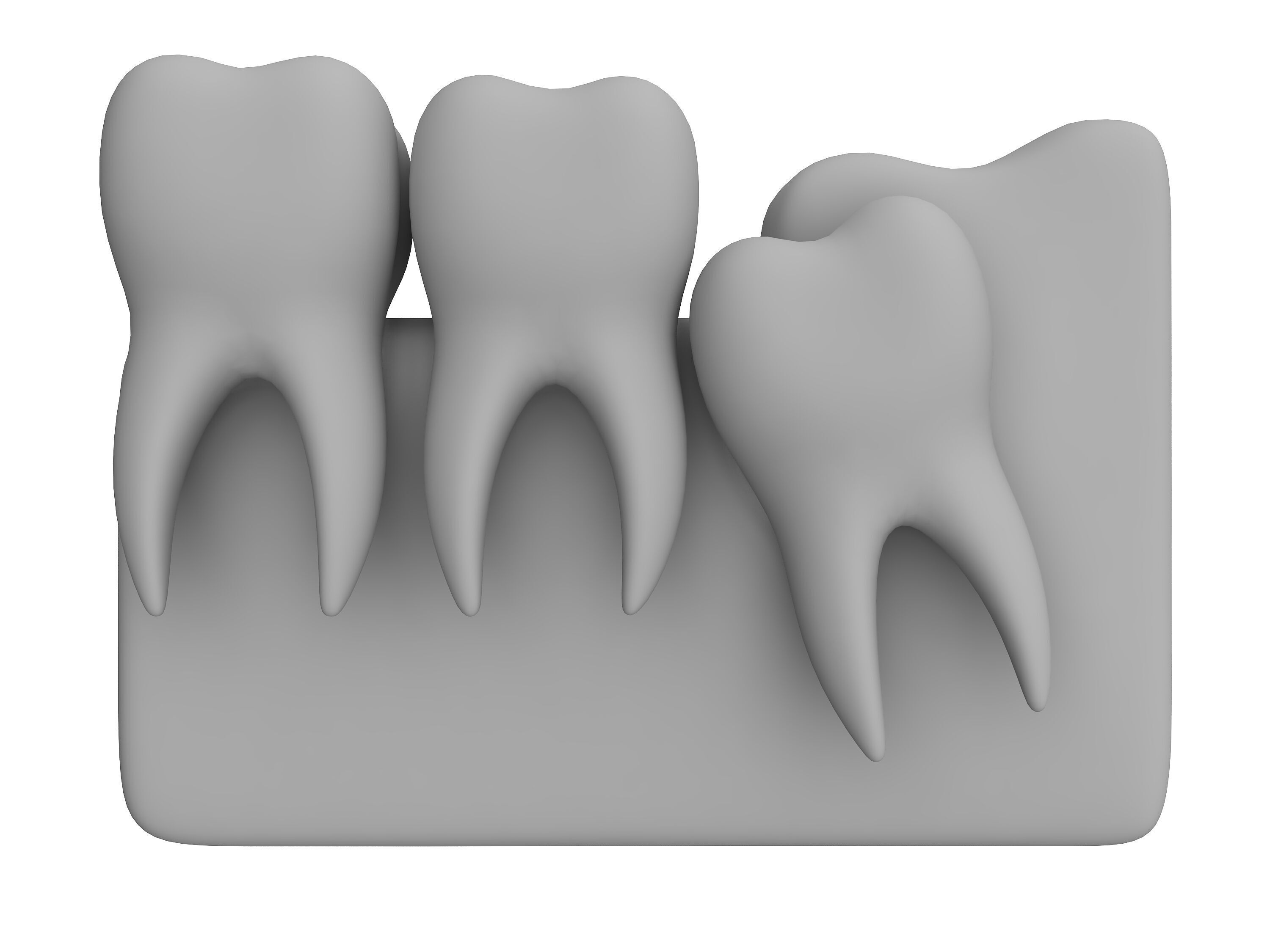 tooth Low-poly 3D model_3