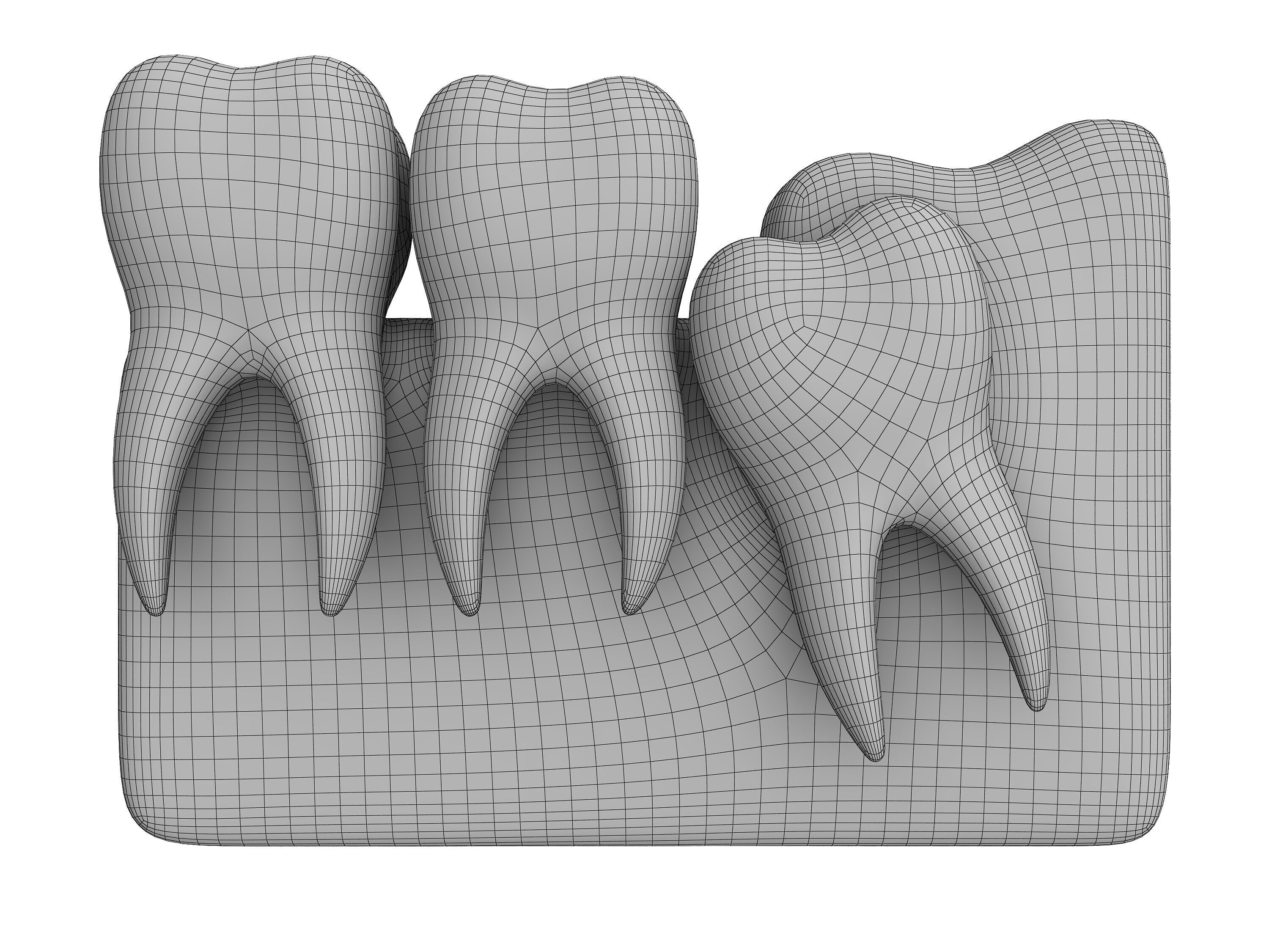 tooth Low-poly 3D model_4