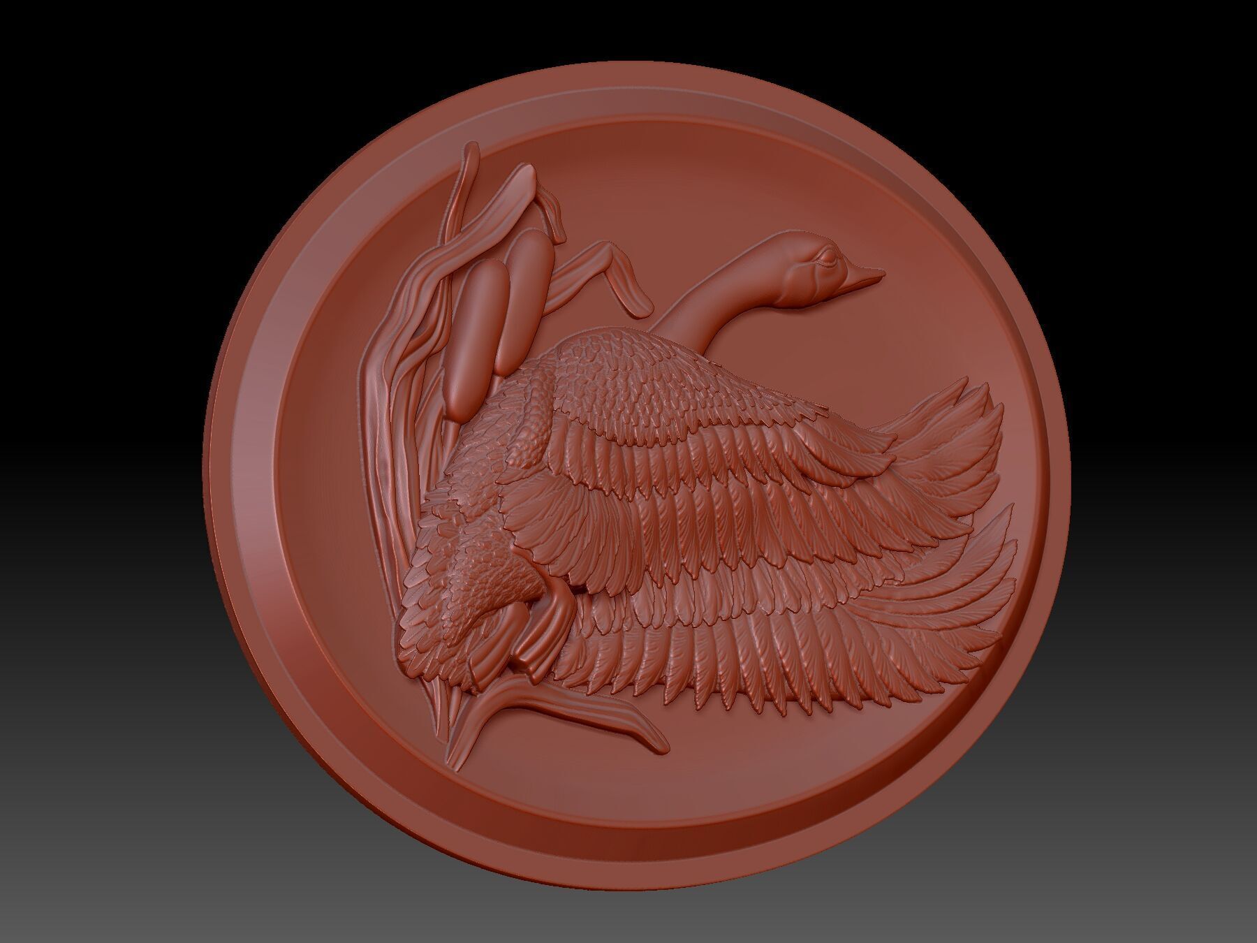 Drake 3D print model_3