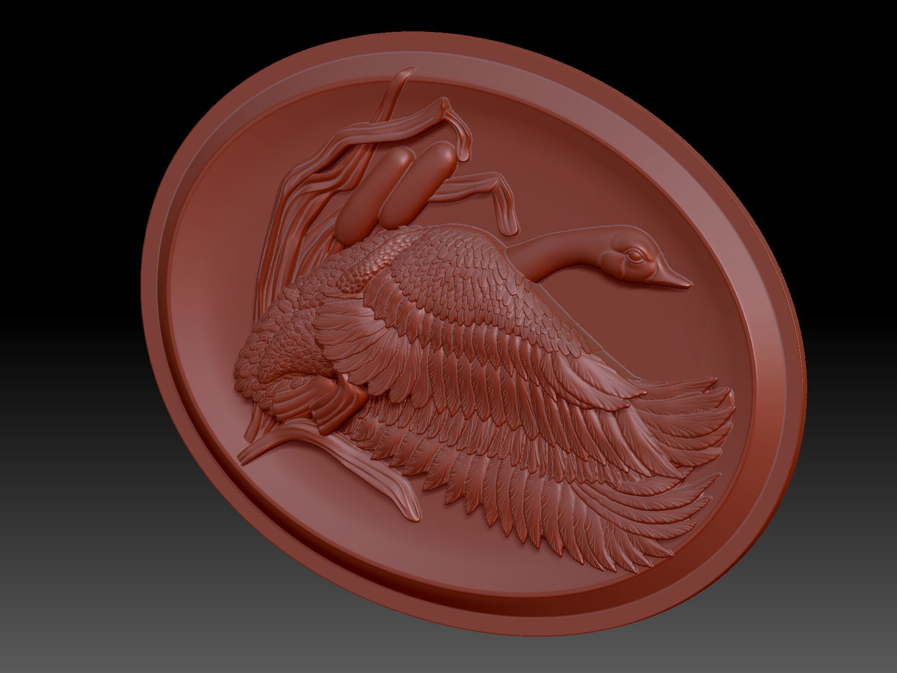 Drake 3D print model_4