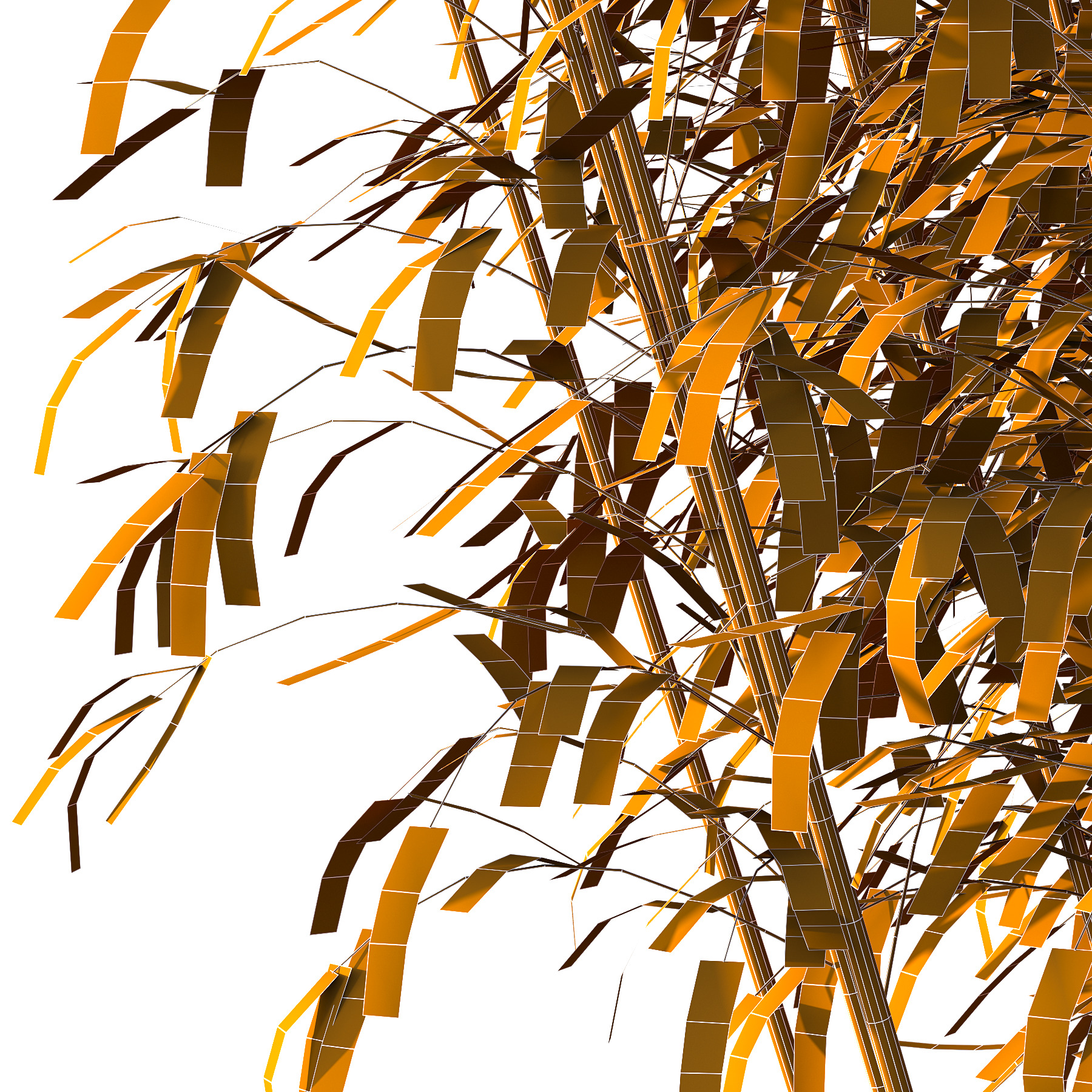 Bamboo Bambusoideae Tree 05 3D model_5