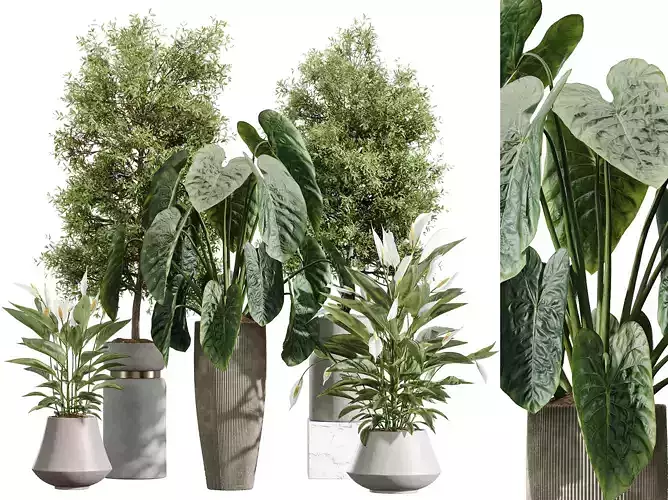 AV Indoor Plant Set 215 