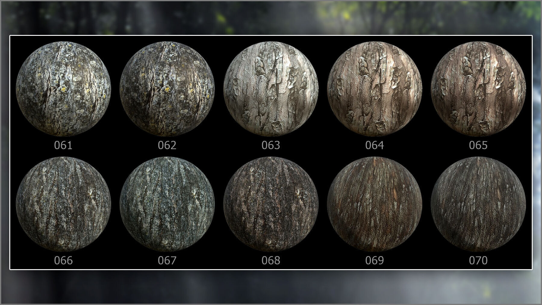 Megapack 100 Bark smart materials for Substance Painter Texture_10