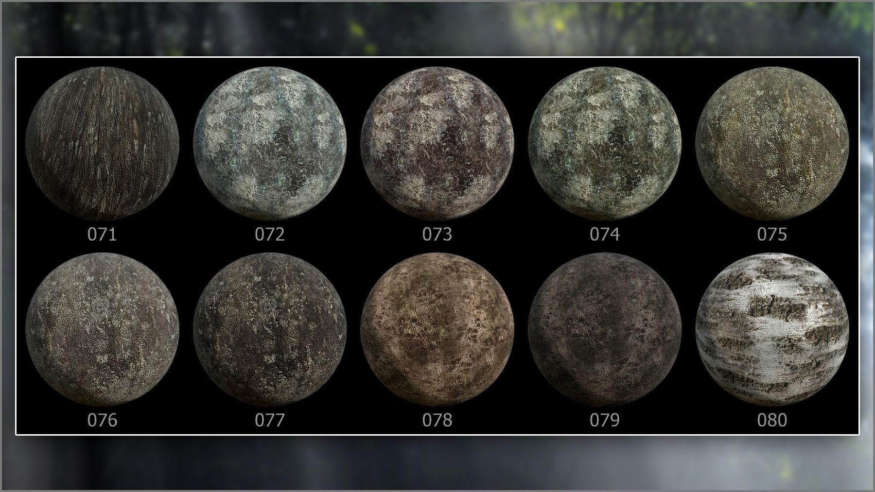 Megapack 100 Bark smart materials for Substance Painter Texture_11