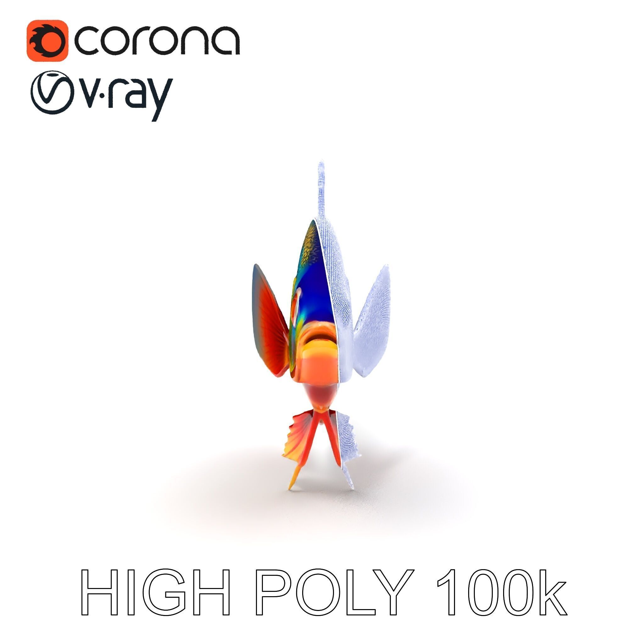 Colorful Tropical Fish Model Pack with PBR Textures Low-poly 3D model_25