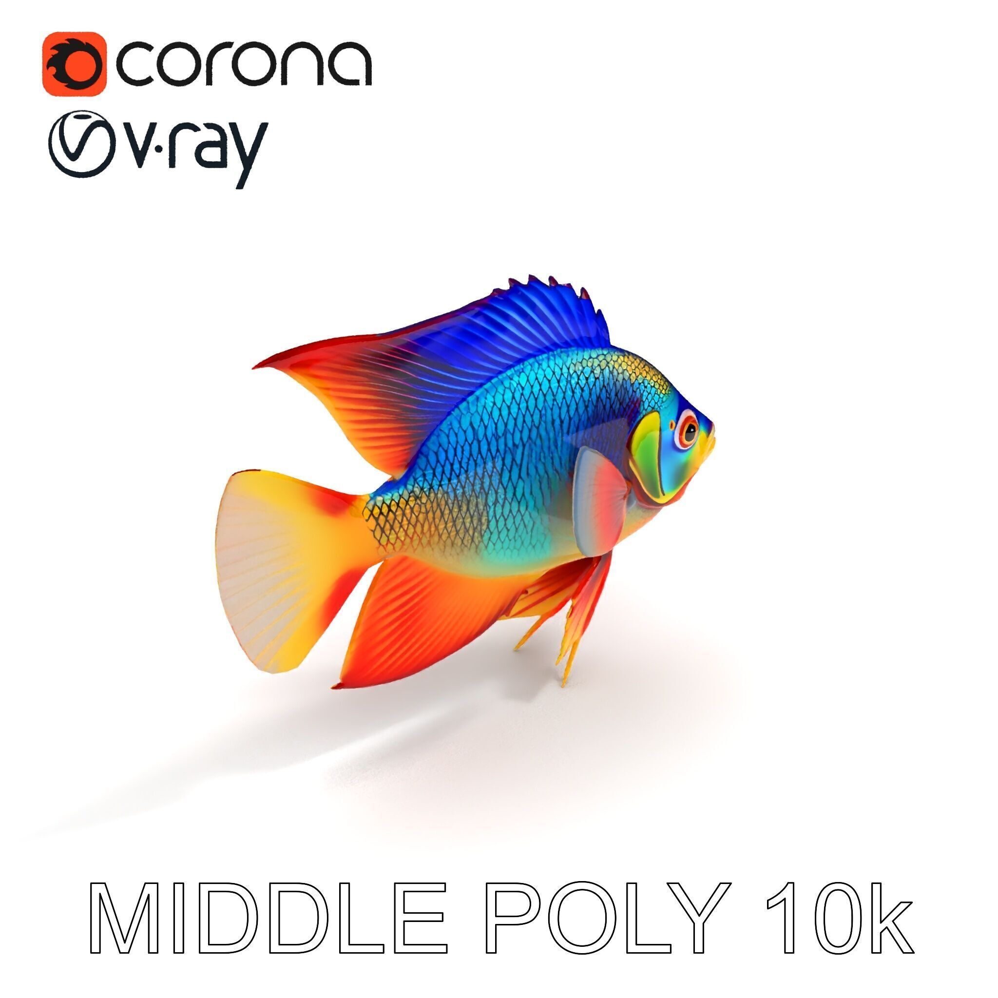 Colorful Tropical Fish Model Pack with PBR Textures Low-poly 3D model_26