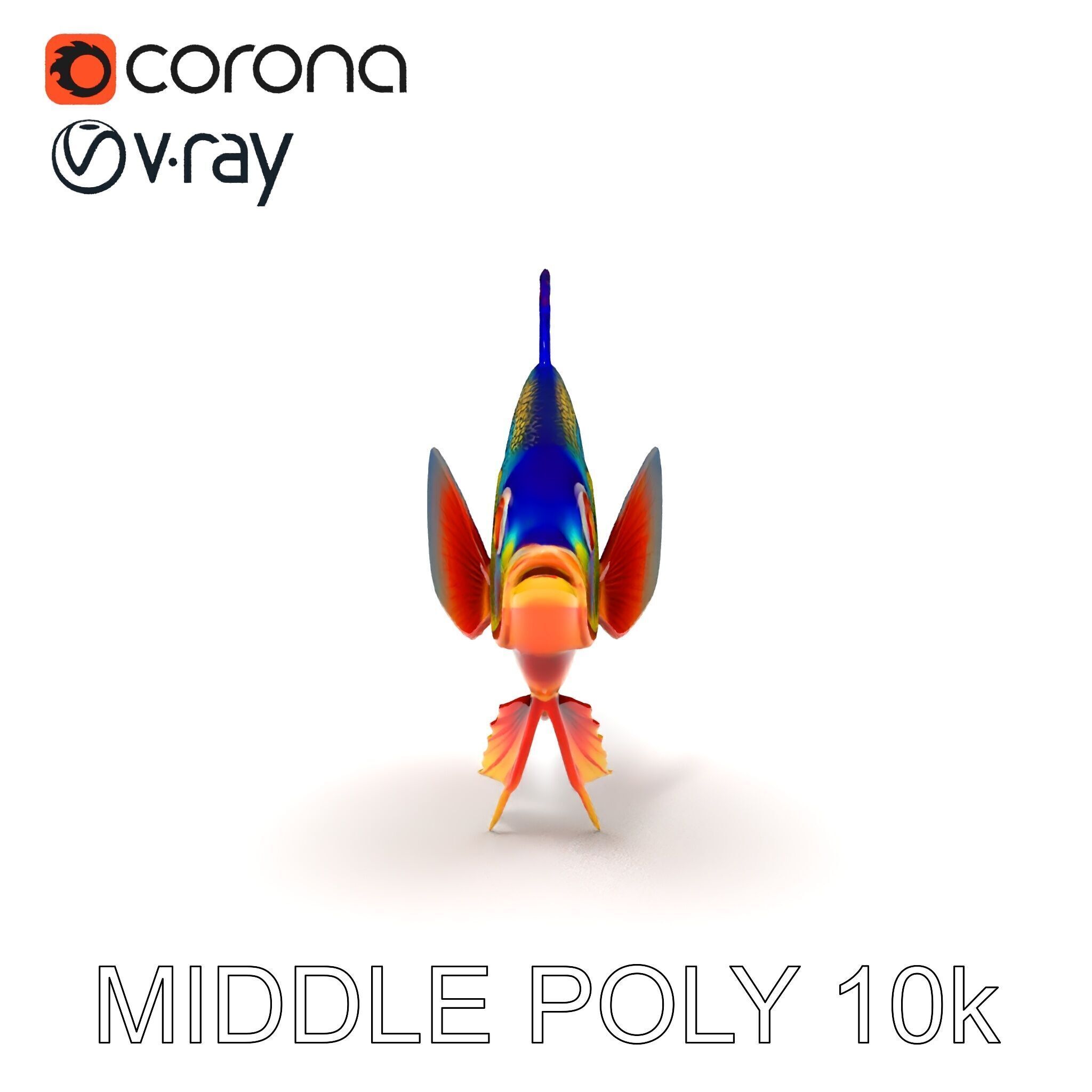 Colorful Tropical Fish Model Pack with PBR Textures Low-poly 3D model_6