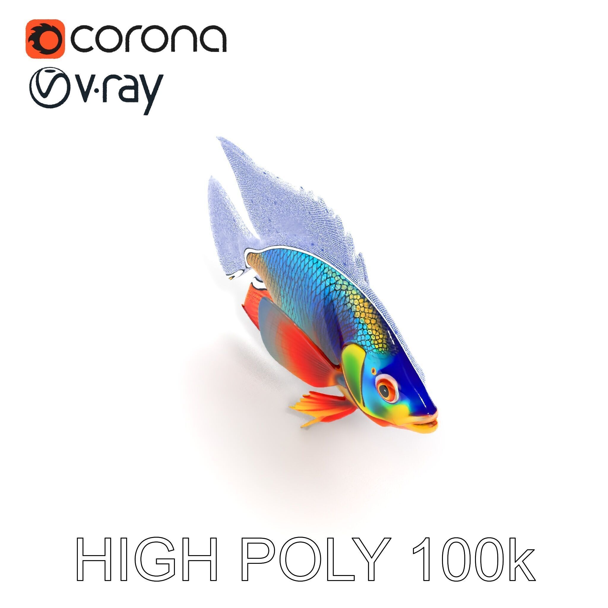Colorful Tropical Fish Model Pack with PBR Textures Low-poly 3D model_13