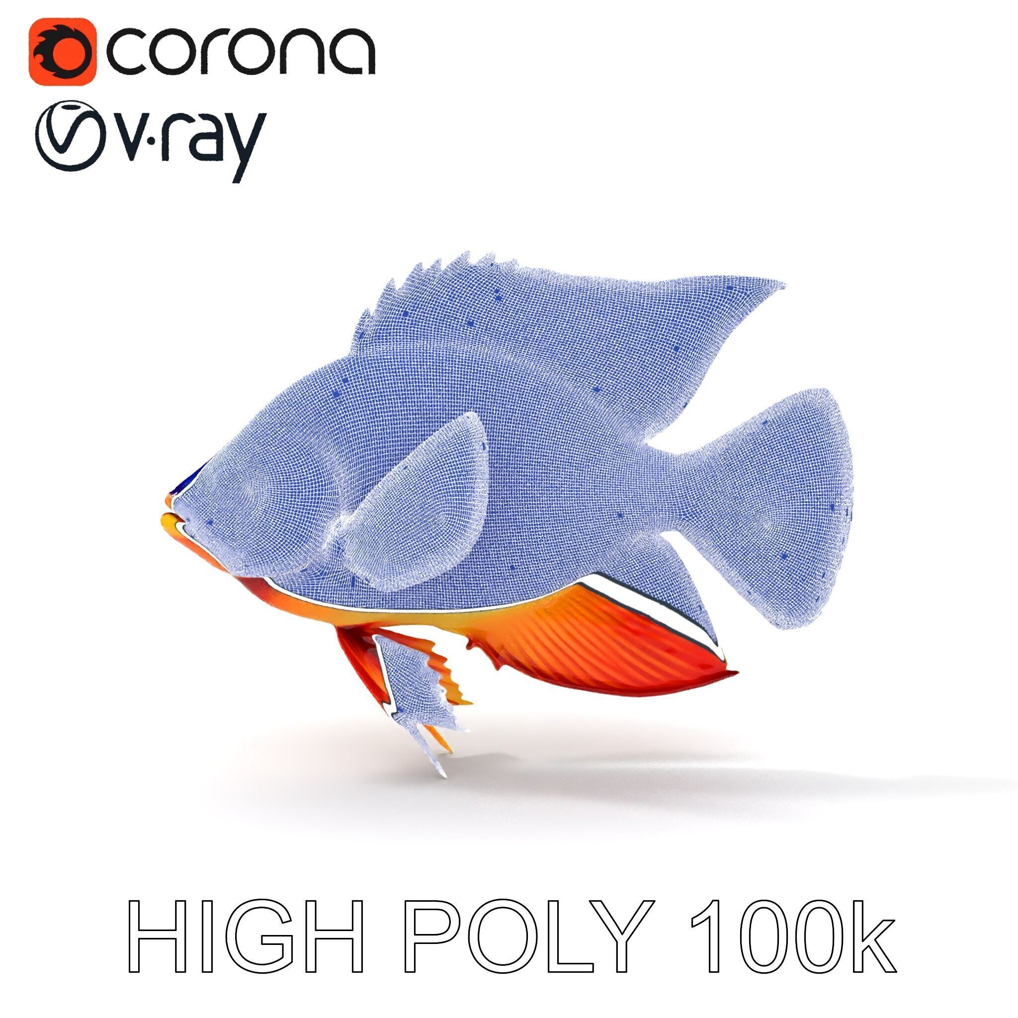 Colorful Tropical Fish Model Pack with PBR Textures Low-poly 3D model_28