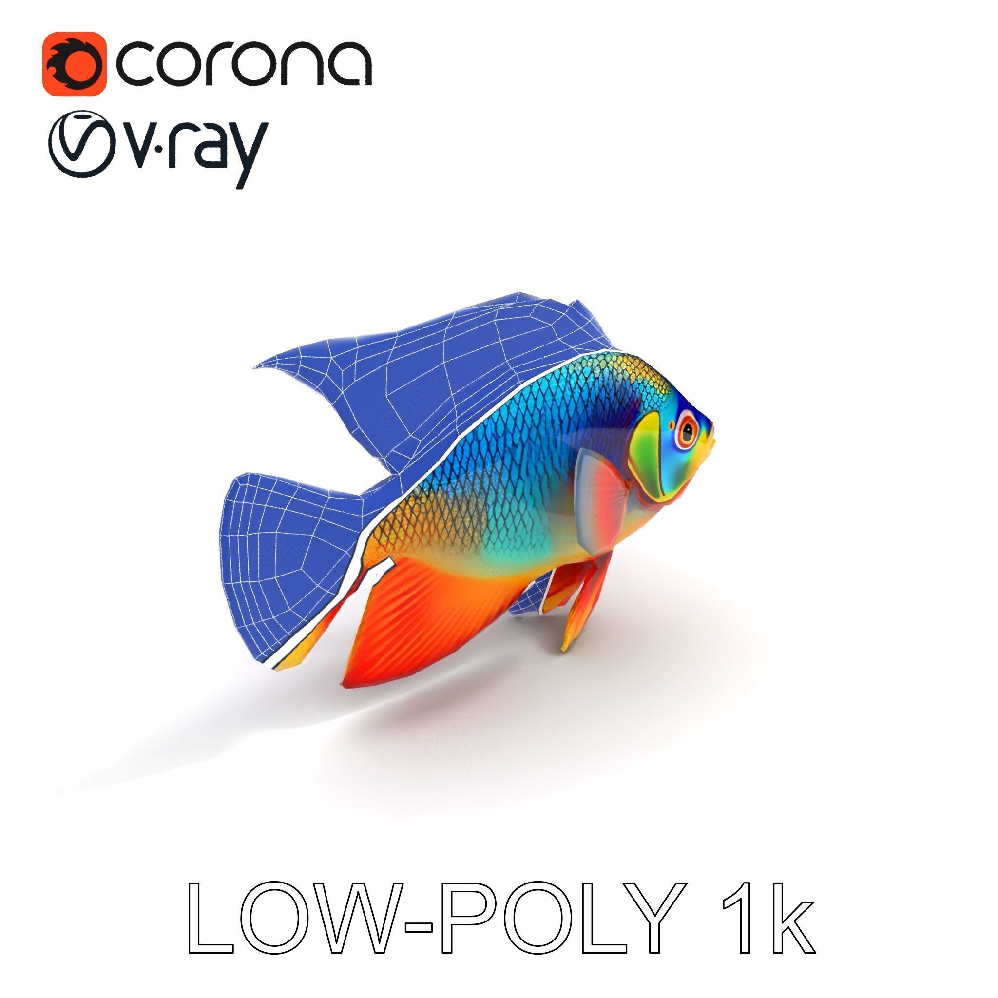 Colorful Tropical Fish Model Pack with PBR Textures Low-poly 3D model_27